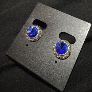 Blue Stud Earrings with Silver Accents